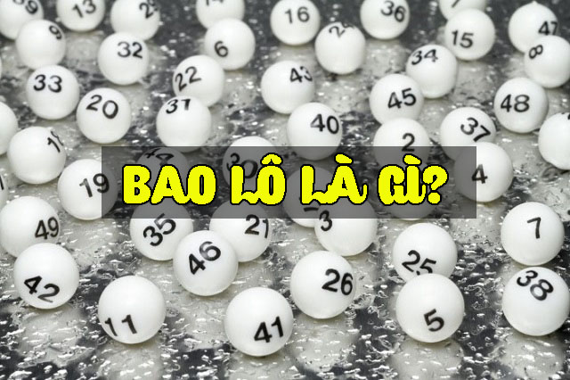 bao lô là gì